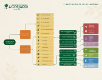 Esquema_Hortijardi